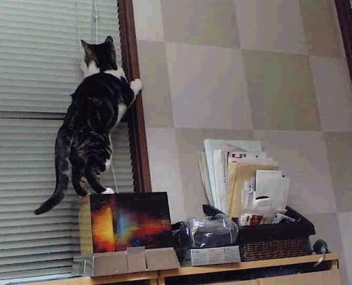 国家队防守体系漏洞频繁，防守反击国家队